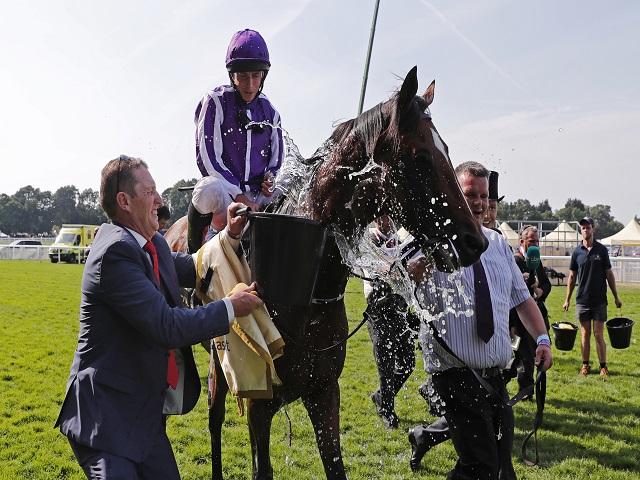 Will Ryan Moore (above) be celebrating in Ascot sunshine on Saturday?